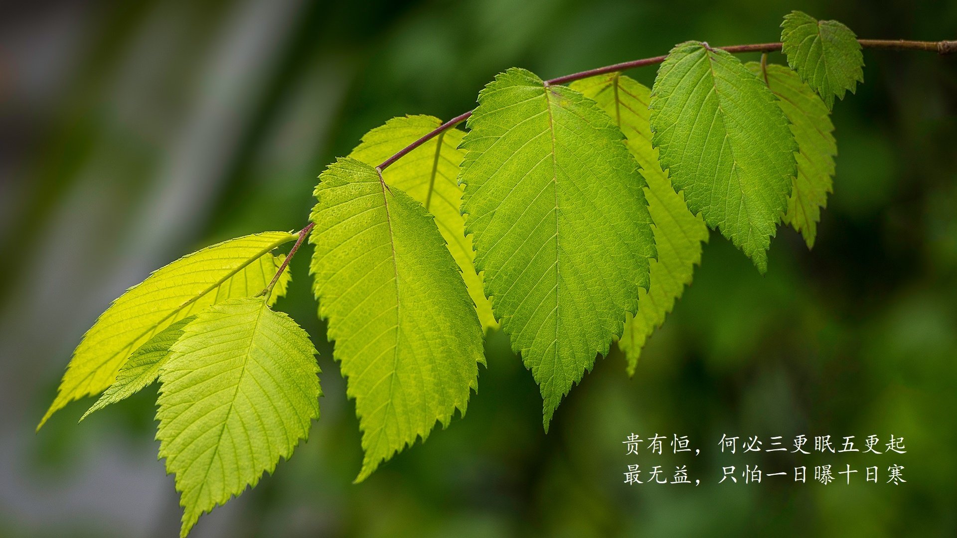 九游娱乐登录-篮球运动员伤病风险评估与防控策略，篮球运动员伤病风险评估与防控策略有哪些