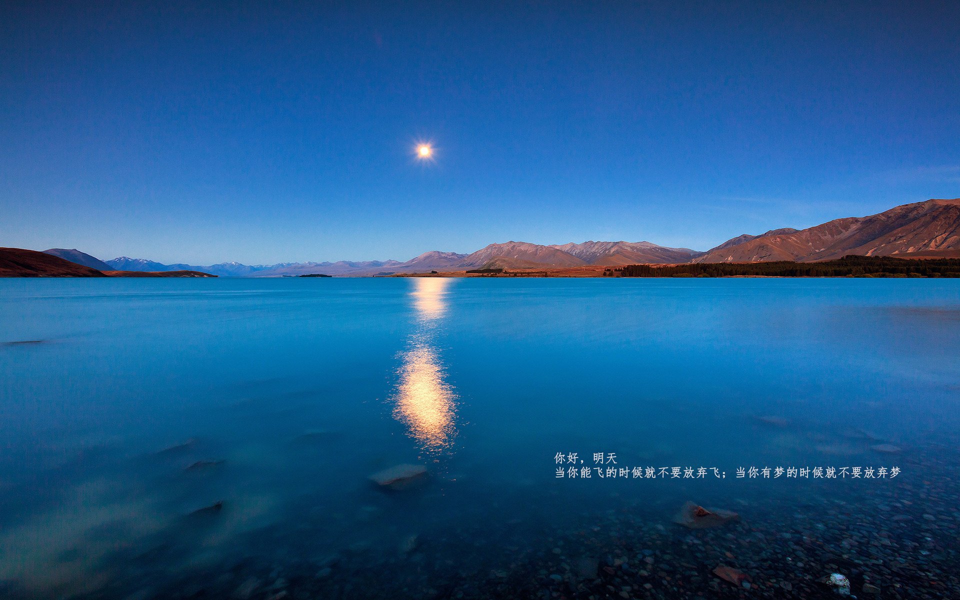 九游.中国官网-球场美食盘点球迷最爱小吃，球场适合卖什么东西