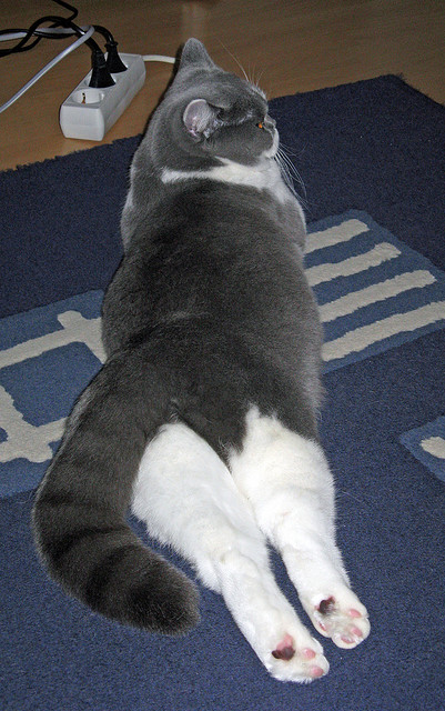 九游网页官网-直播技术创新助力赛事多元传播，直播创新玩法