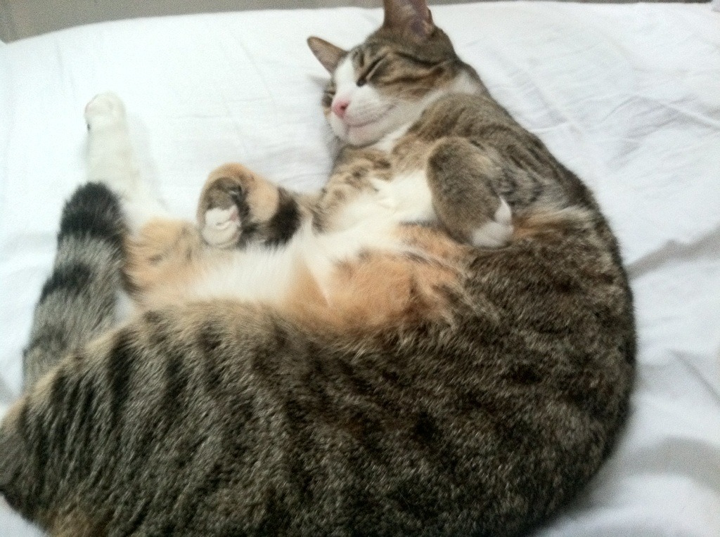 九游官网入口活动-卢卡斯·梅尔滕斯冲刺阶段咬牙坚持，卢卡斯梅尔步枪