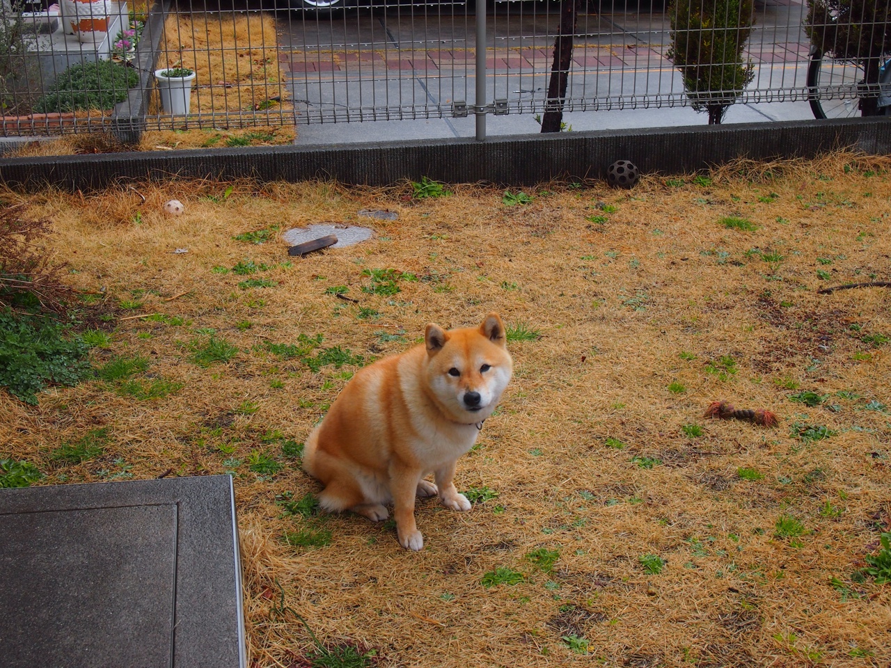 九游官网入口充值-卡萨斯赛后感谢团队支持，卡萨斯赛后感谢团队支持的话语