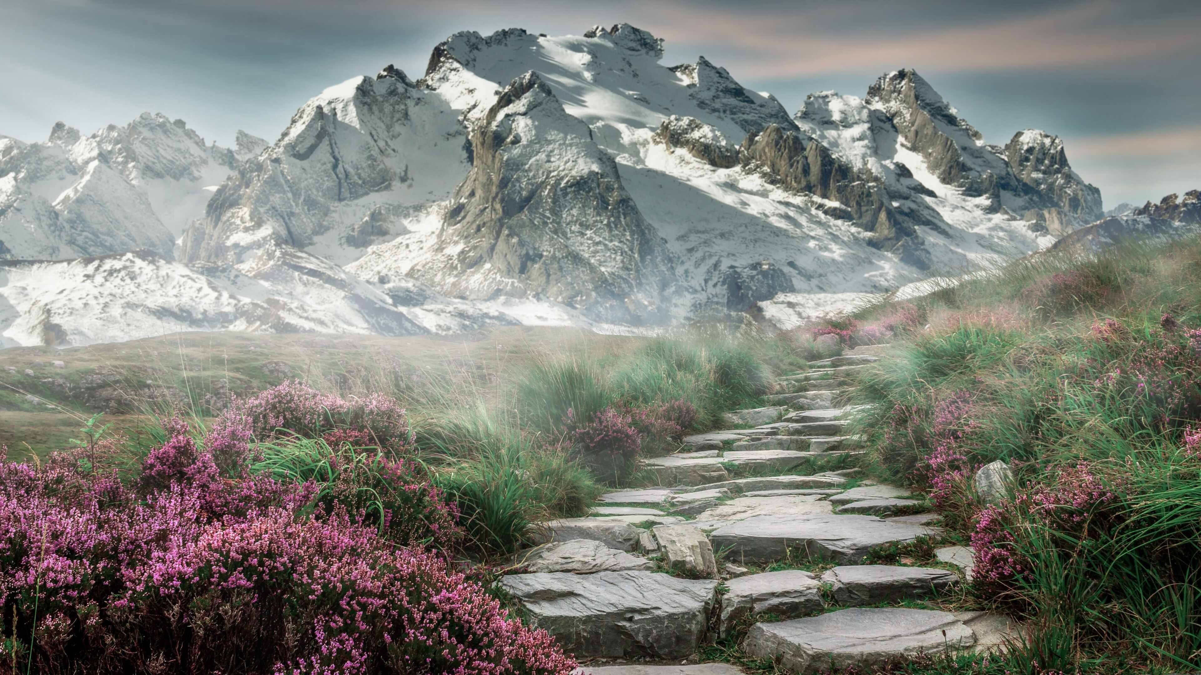 九游官网入口地址-希腊女篮在欧洲大赛中持续发力，冲击金牌梦想，希腊女球迷