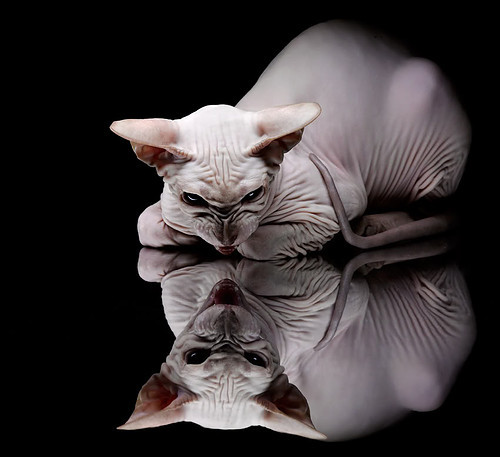 九游体育官网入口-恩多比·恩乔：助攻与得分兼备，完美展现南非队全能进攻风采，恩多罗是哪个国家的城市