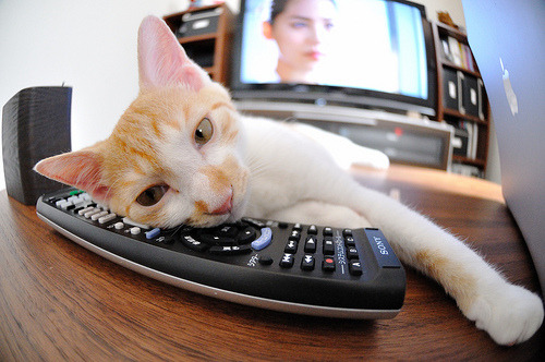 九游官网入口充值-斯洛伐克女篮在欧洲预赛中表现优异，期待奥运门票，斯洛伐克欧洲杯预选赛