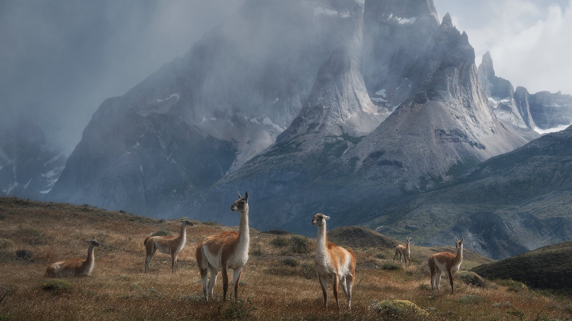 九游娱乐在线-普劳德：经验与自信是关键武器，普劳恩德农业机械有限公司