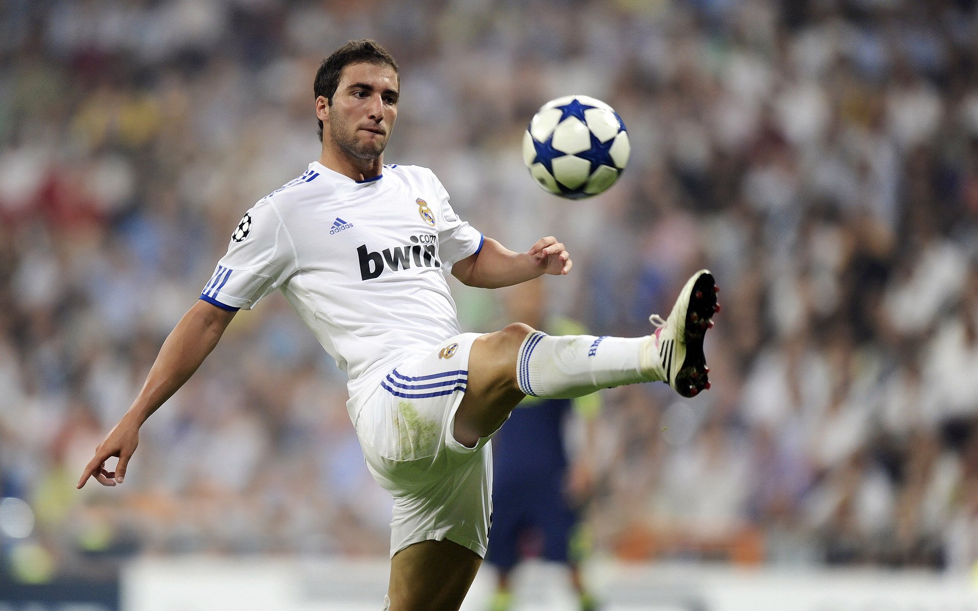 全运男篮霍里:在我认识的人里,只有姚明和科比对所有球员了若指掌